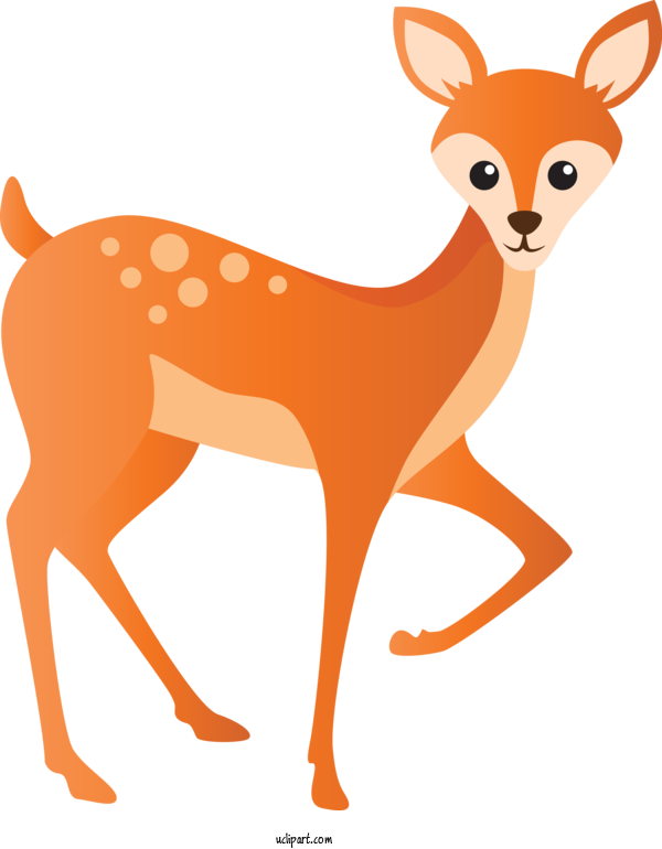Free Animals Deer Wildlife Fawn For Deer Clipart Transparent Background