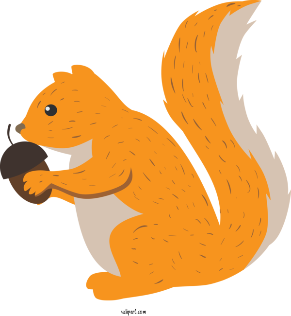 Free Animals Squirrel Cartoon Eurasian Red Squirrel For Squirrel Clipart Transparent Background