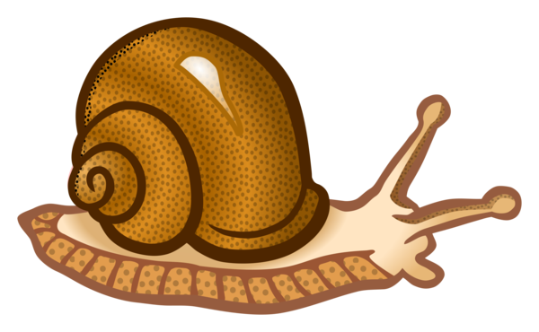 Free Snail Snails And Slugs Snail Clipart Clipart Transparent Background
