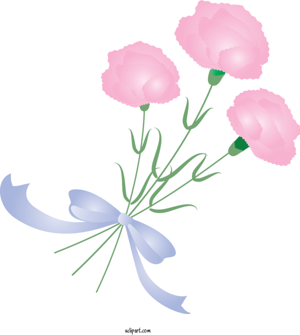 Free Holidays Flower Plant Pink For Mothers Day Clipart Transparent Background