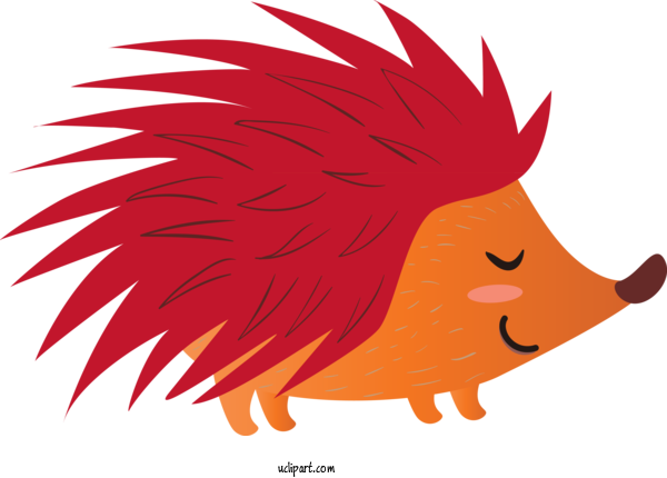 Free Animals Hair Red Cartoon For Hedgehog Clipart Transparent Background
