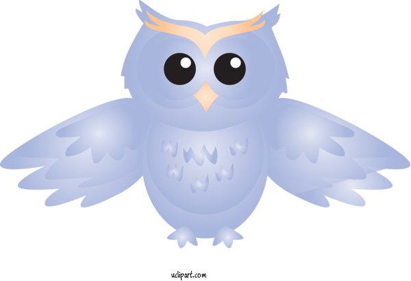 Free Animals Owl Snowy Owl Bird For Owl Clipart Transparent Background