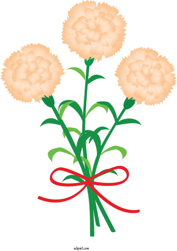 Free Holidays Tagetes Flower Plant For Mothers Day Clipart Transparent Background