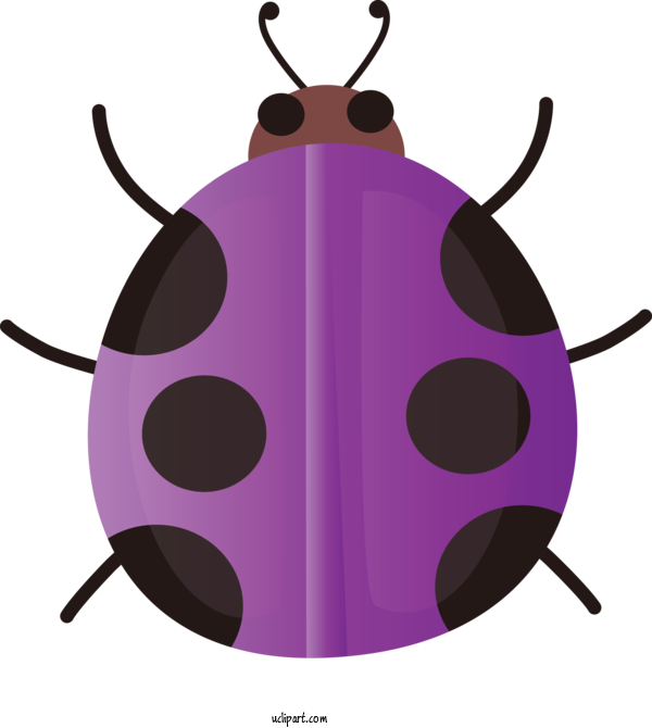 Free Animals Violet Insect Magenta For Insect Clipart Transparent Background