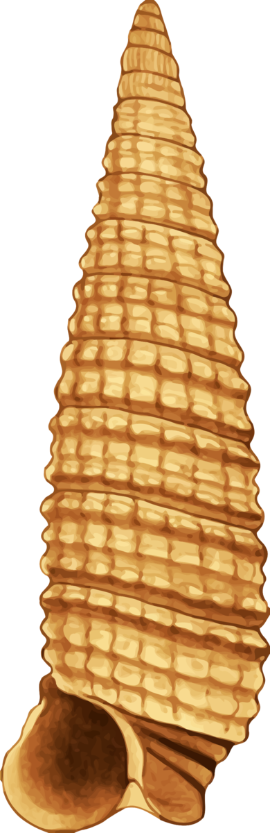 Free Snail Ice Cream Cone Cone Clipart Clipart Transparent Background