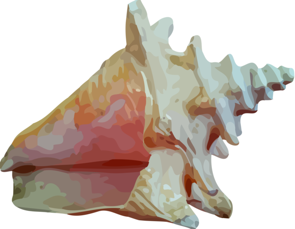 Free Snail Conch Shankha Seashell Clipart Clipart Transparent Background