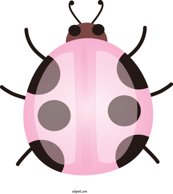 Free Animals Insect Pink For Insect Clipart Transparent Background