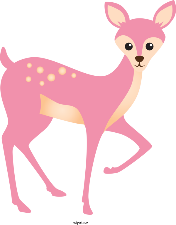 Free Animals Deer Pink Tail For Deer Clipart Transparent Background