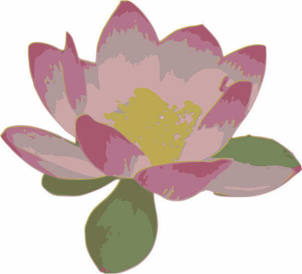 Free Lotus Flower Flower Petal Plant Clipart Clipart Transparent Background