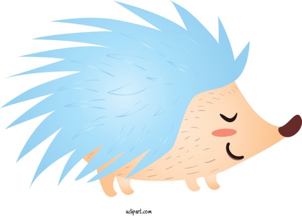 Free Animals Cartoon Nose Line For Hedgehog Clipart Transparent Background