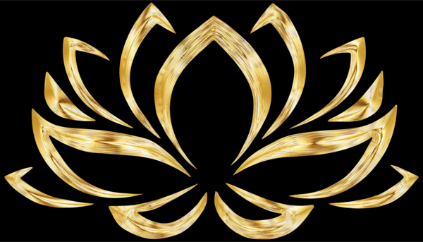 Free Lotus Flower Flower Symmetry Logo Clipart Clipart Transparent Background