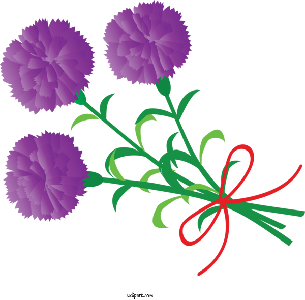 Free Holidays Flower Plant Cut Flowers For Mothers Day Clipart Transparent Background