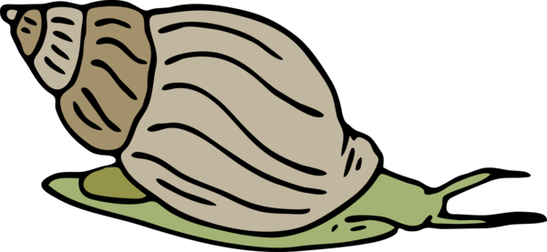 Free Snail Snails And Slugs Snail Plant Clipart Clipart Transparent Background