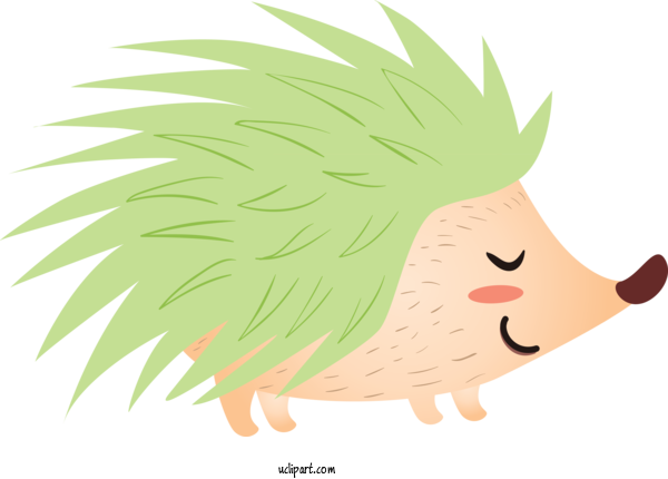 Free Animals Cartoon Head Nose For Hedgehog Clipart Transparent Background