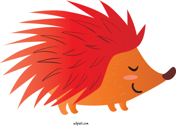 Free Animals Red Head Cartoon For Hedgehog Clipart Transparent Background