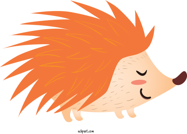 Free Animals Cartoon Hedgehog Nose For Hedgehog Clipart Transparent Background