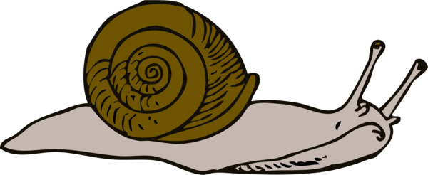 Free Snail Snails And Slugs Snail Black And White Clipart Clipart Transparent Background
