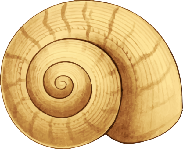 Free Snail Snail Nautilida Wood Clipart Clipart Transparent Background