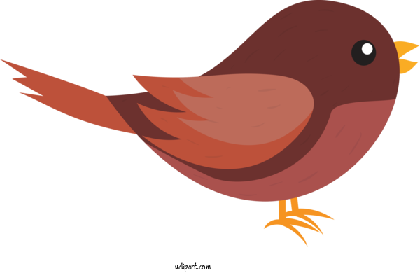 Free Animals Bird European Robin Beak For Bird Clipart Transparent Background