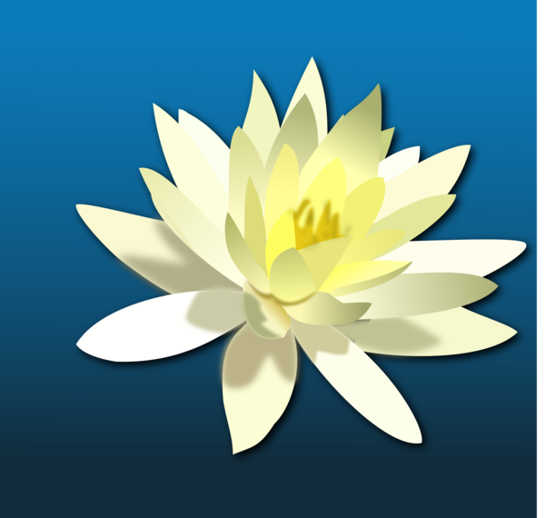 Free Lotus Flower Flower Flora Aquatic Plant Clipart Clipart Transparent Background