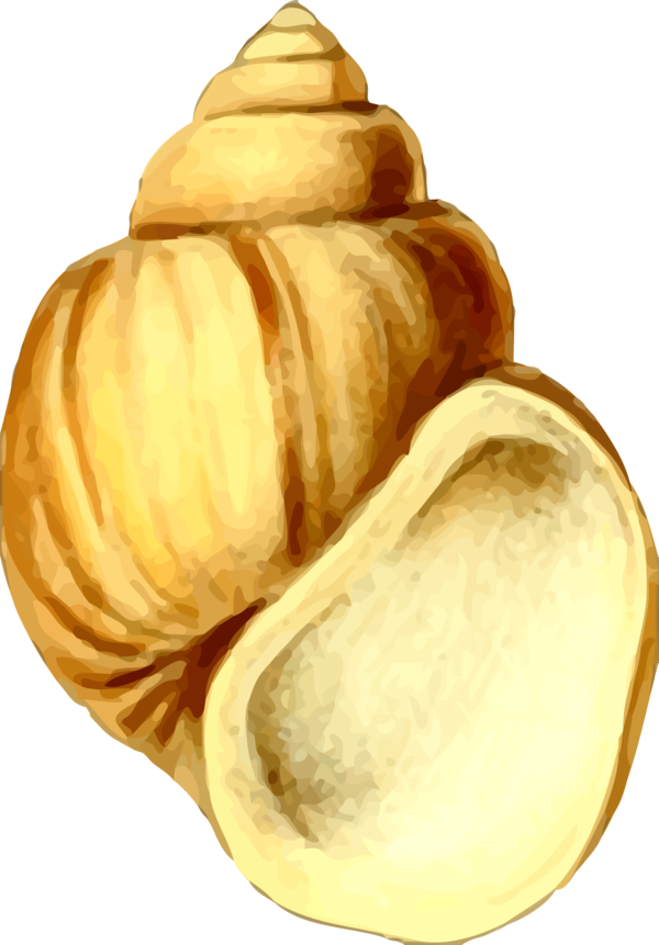 Free Snail Food Commodity Clipart Clipart Transparent Background