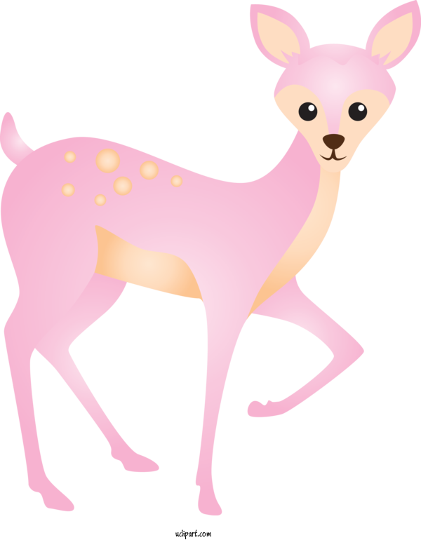 Free Animals Pink Deer Tail For Deer Clipart Transparent Background