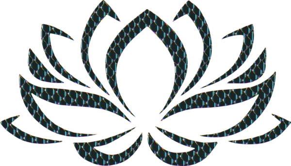 Free Lotus Flower Leaf Plant Symmetry Clipart Clipart Transparent Background