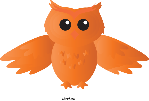 Free Animals Owl Cartoon Orange For Owl Clipart Transparent Background