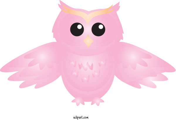 Free Animals Owl Bird Pink For Owl Clipart Transparent Background