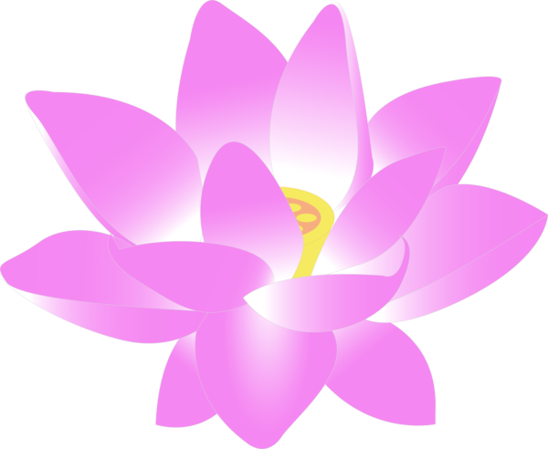 Free Lotus Flower Flower Petal Magenta Clipart Clipart Transparent Background