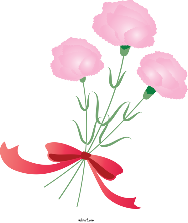Free Holidays Pink Flower Plant For Mothers Day Clipart Transparent Background