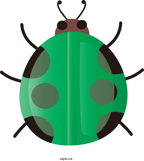 Free Animals Insect Pest Leaf Beetle For Insect Clipart Transparent Background