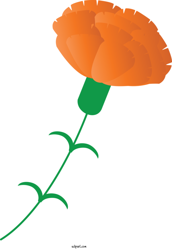 Free Holidays Orange Plant Plant Stem For Mothers Day Clipart Transparent Background
