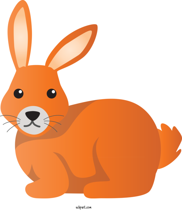 Free Animals Rabbit Orange Rabbits And Hares For Rabbit Clipart Transparent Background