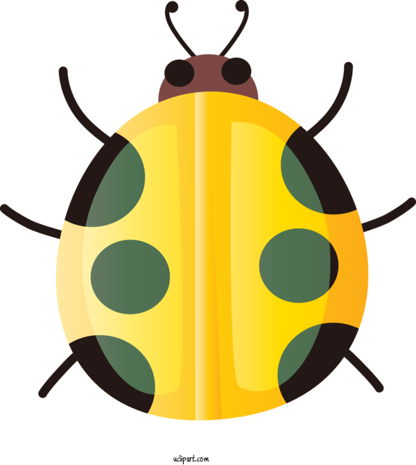 Free Animals Insect Yellow Leaf Beetle For Insect Clipart Transparent Background