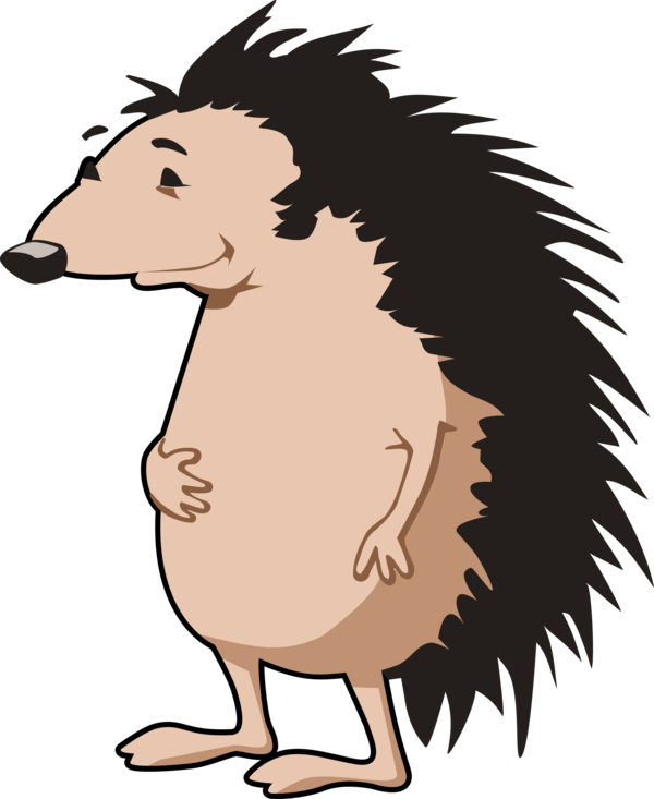 Free Hedgehog Face Facial Expression Nose Clipart Clipart Transparent Background