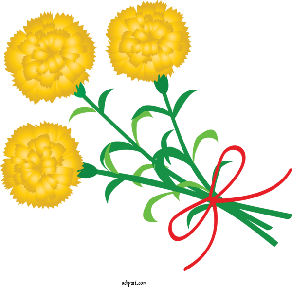 Free Holidays Flower English Marigold Yellow For Mothers Day Clipart Transparent Background