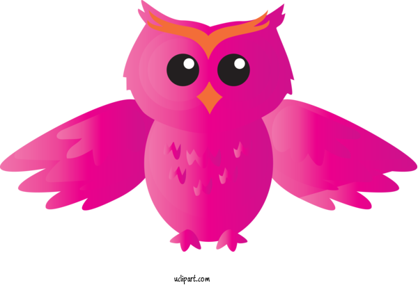 Free Animals Owl Pink Bird For Owl Clipart Transparent Background