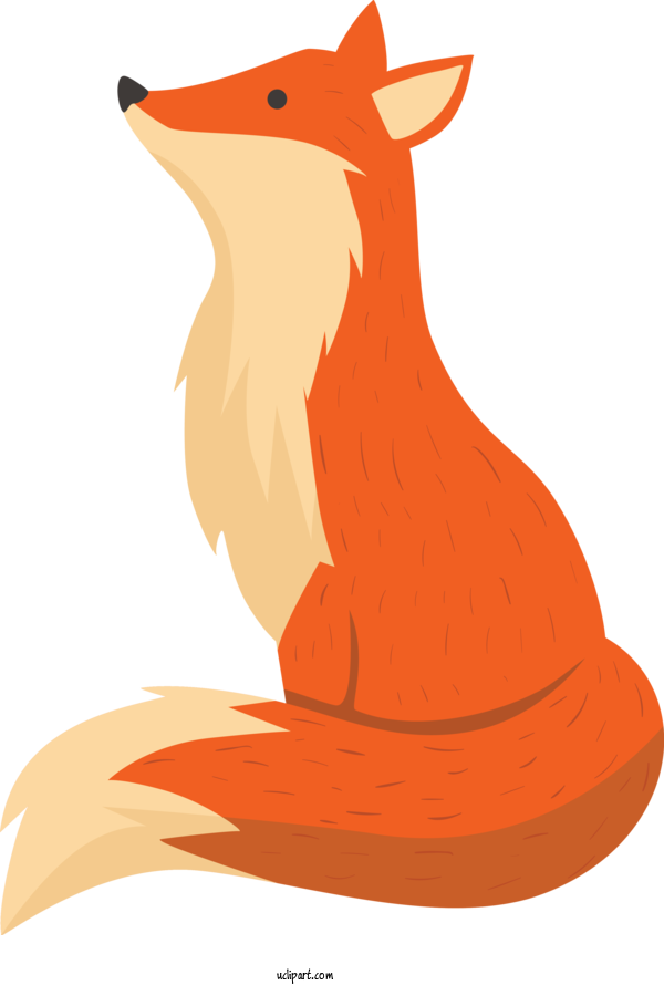 Free Animals Red Fox Fox Orange For Fox Clipart Transparent Background