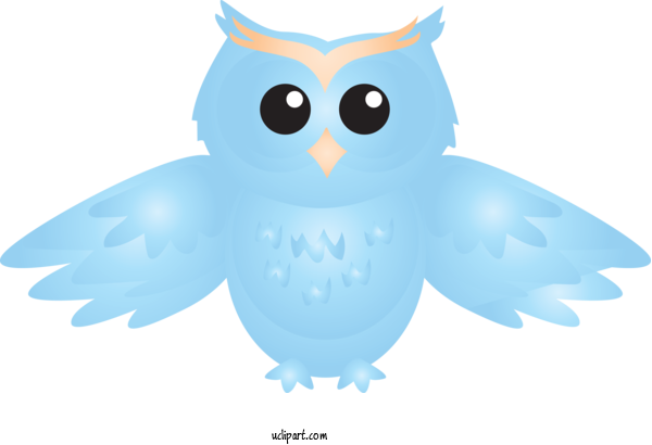 Free Animals Owl Bird Snowy Owl For Owl Clipart Transparent Background
