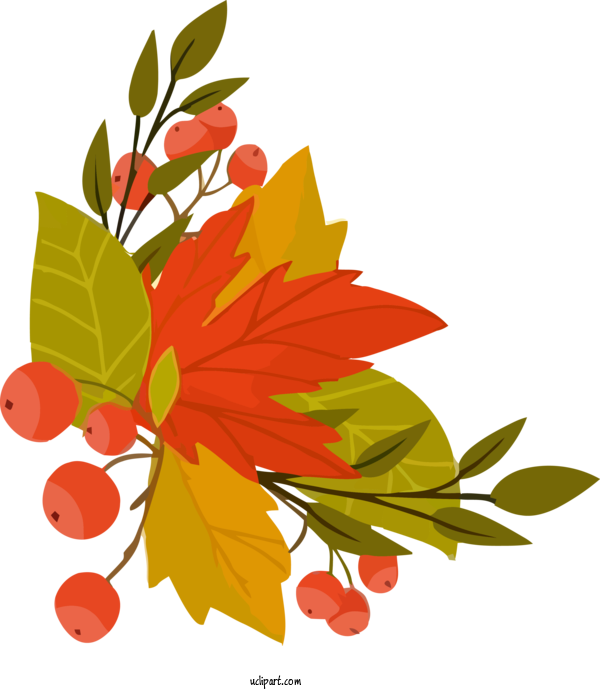 Free Nature Leaf Tree Plant For Autumn Clipart Transparent Background