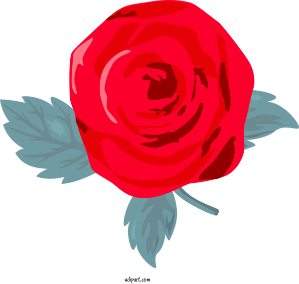 Free Flowers Garden Roses Rose Red For Rose Clipart Transparent Background