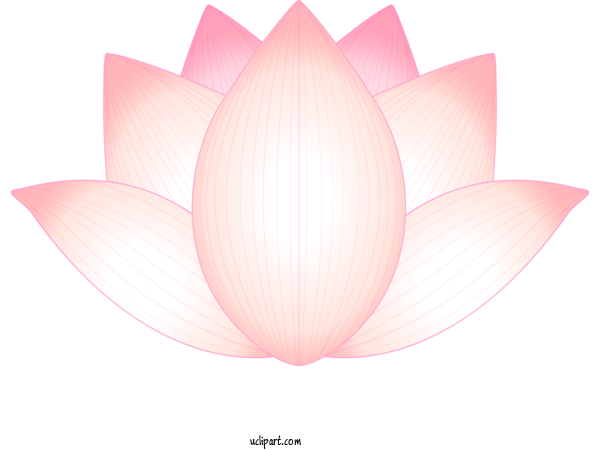 Free Flowers Lotus Family Lotus Sacred Lotus For Lotus Flower Clipart Transparent Background