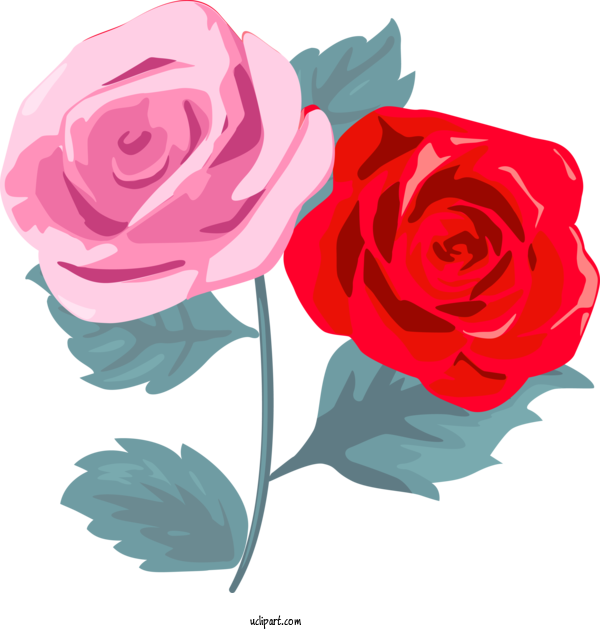 Free Flowers Garden Roses Flower Rose For Rose Clipart Transparent Background