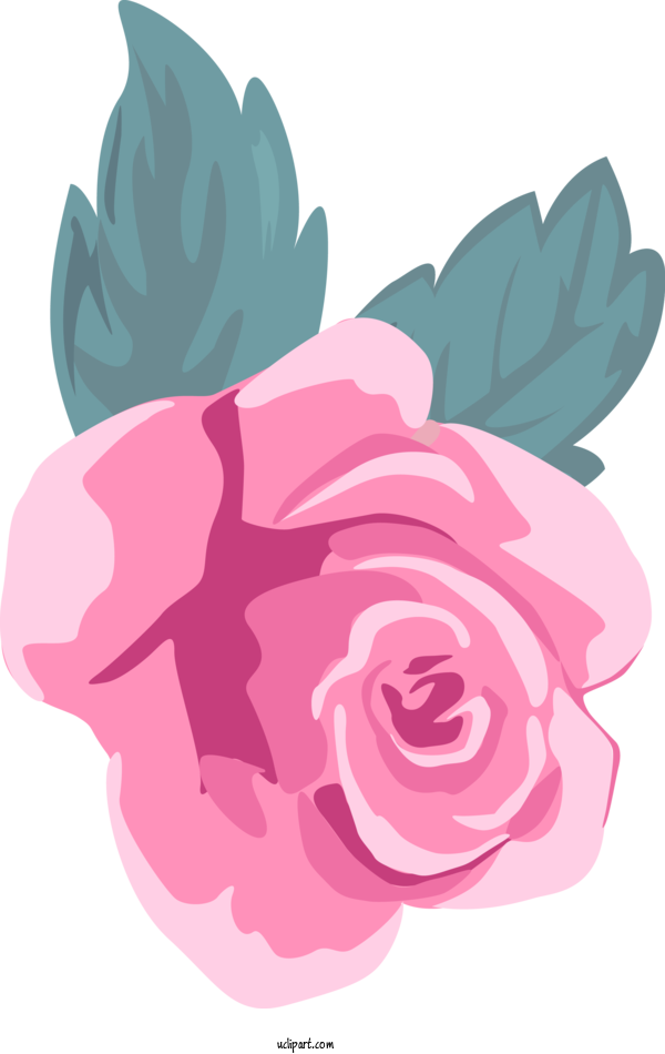 Free Flowers Pink Flower Rose For Rose Clipart Transparent Background