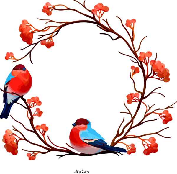 Free Holidays Branch Bird Twig For Christmas Clipart Transparent Background