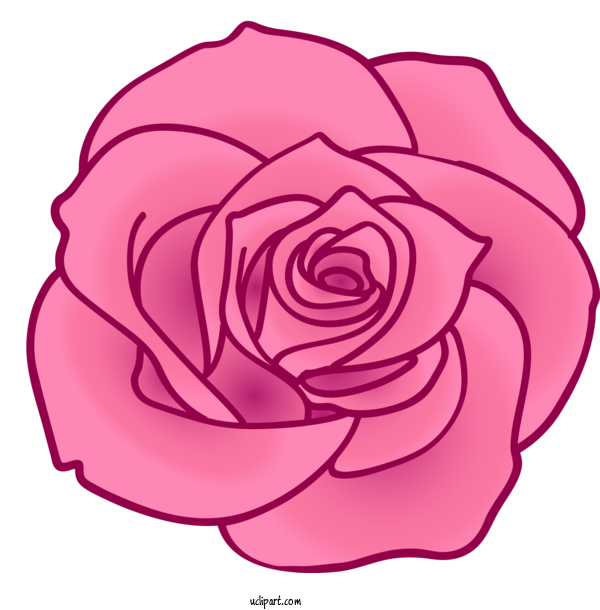 Free Flowers Pink Garden Roses Rose For Rose Clipart Transparent Background