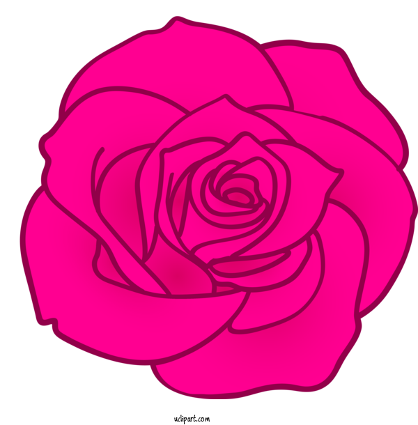 Free Flowers Garden Roses Pink Rose For Rose Clipart Transparent Background