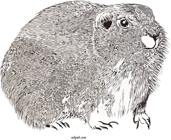 Free Holidays Groundhog Gopher Nutria For Groundhog Day Clipart Transparent Background