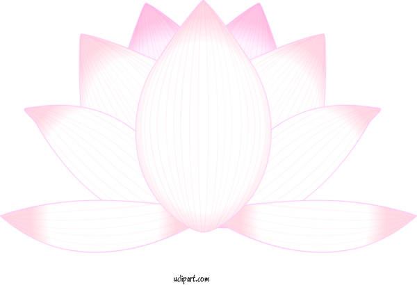 Free Flowers Lotus Family Petal Sacred Lotus For Lotus Flower Clipart Transparent Background